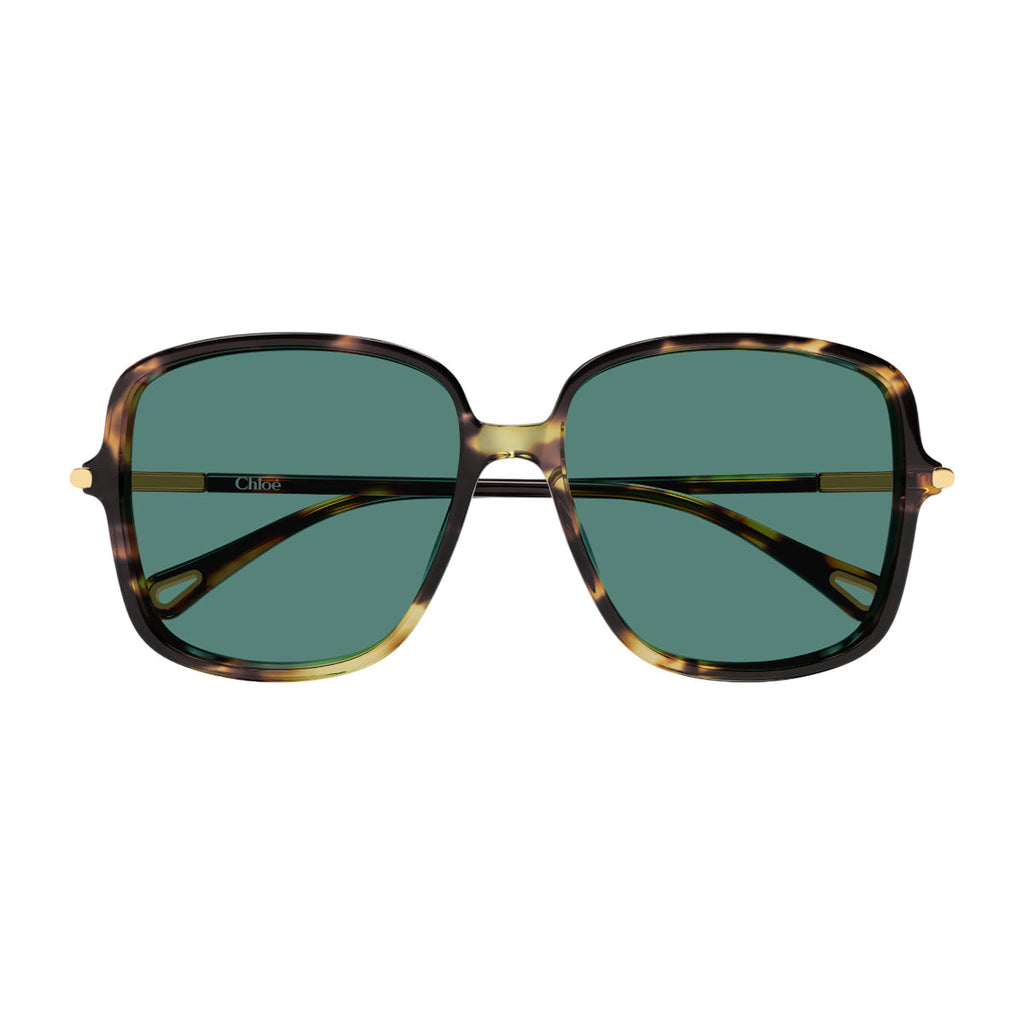 Havana Green Ch0396s Recycled Acetate Large Square Sunglasses