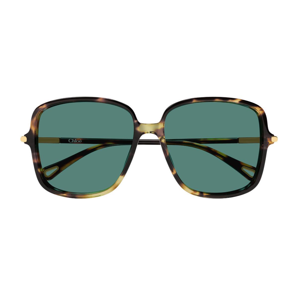 Havana Green Ch0396s Recycled Acetate Large Square Sunglasses