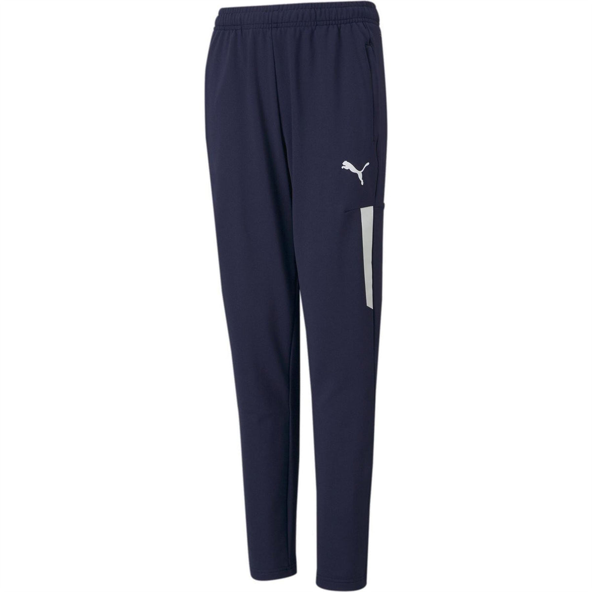Puma Teamliga Training Pants Pro Jr Tracksuit Bottom Unisex Kids