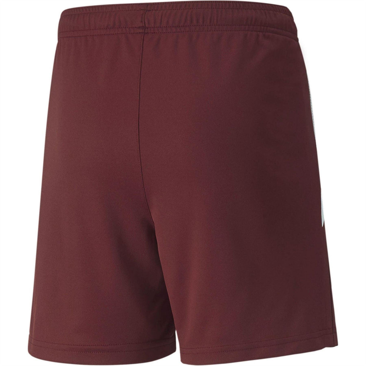 Puma Teamliga Shorts Jr Football Short Unisex Kids