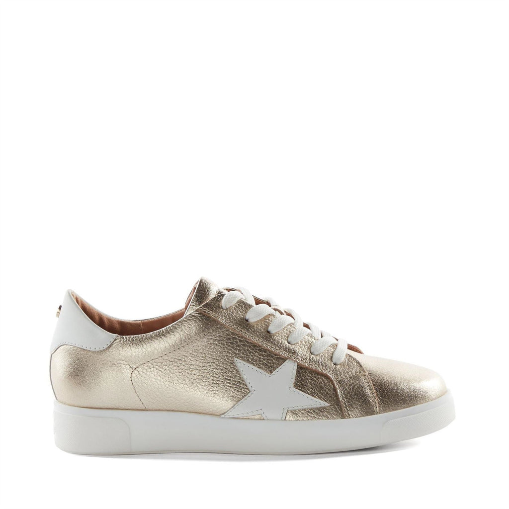 Dune Lo Edriss Star Lace Up Canvas Low Top Sneakers