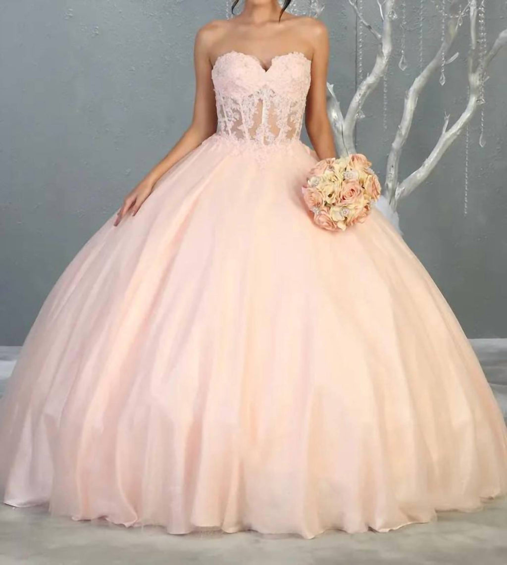 Embroidered Corset Bodice Ballgown In Blush
