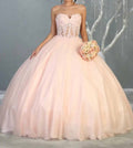 Embroidered Corset Bodice Ballgown In Blush