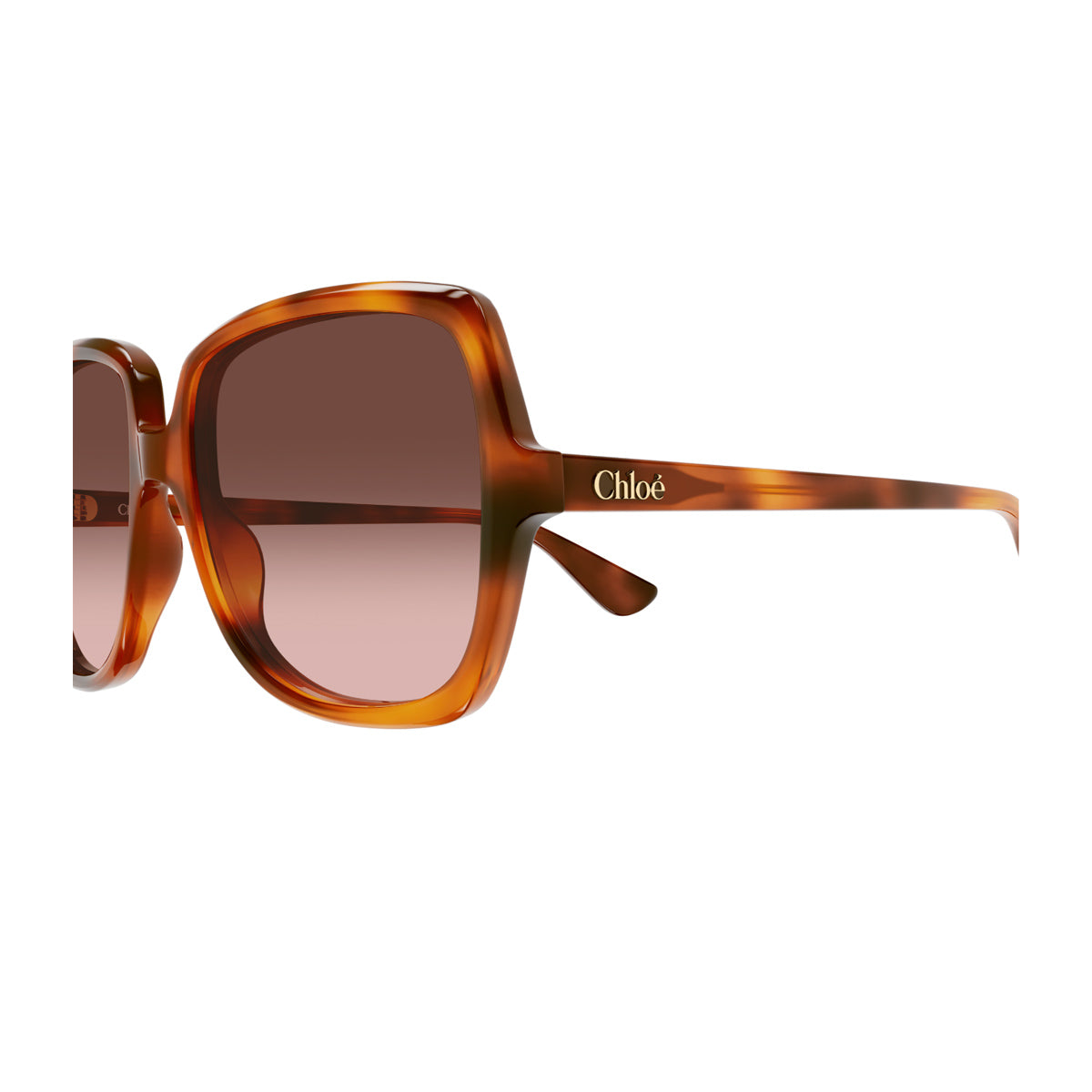 Havana Copper Sunglasses With Rounded Edges And Gradient Lenses