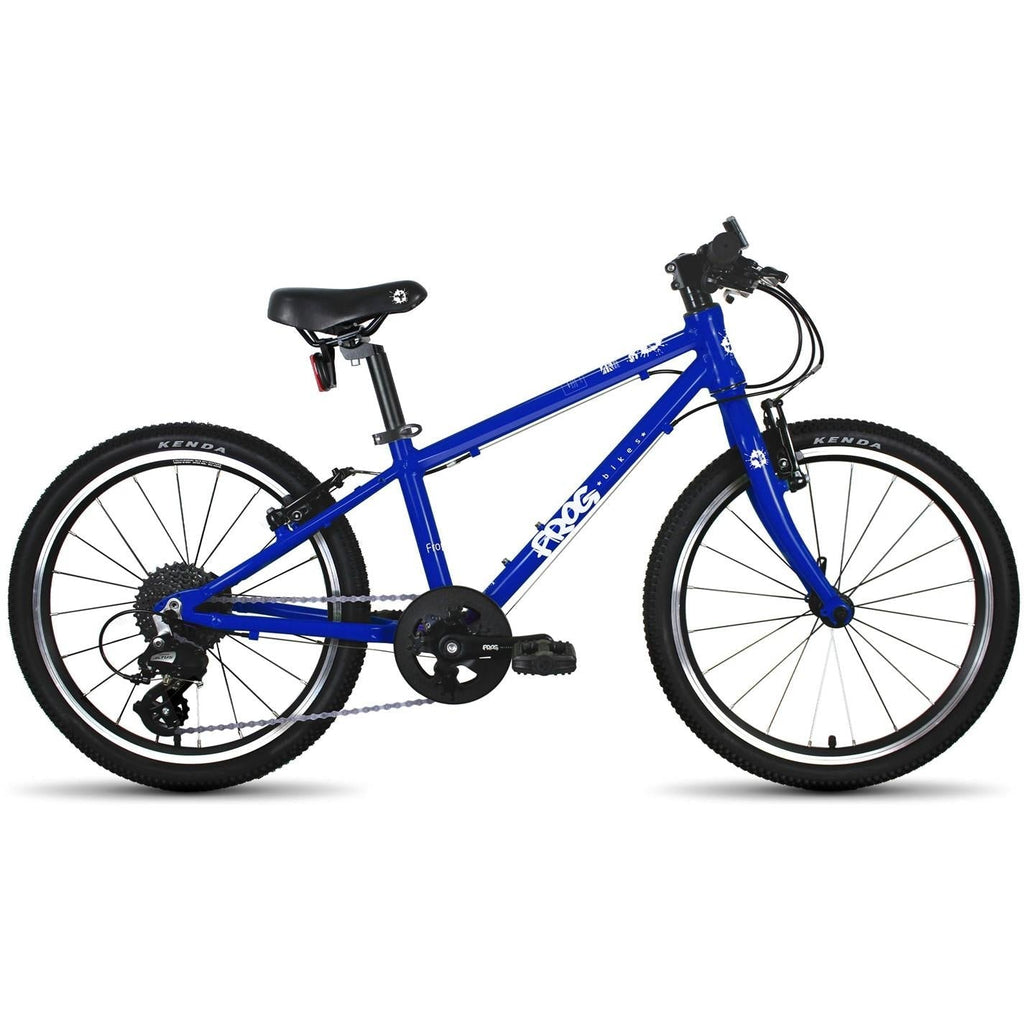 Frog   20 Inch Kids Bike