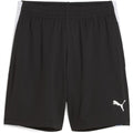 Puma Individualliga Training Football Shorts