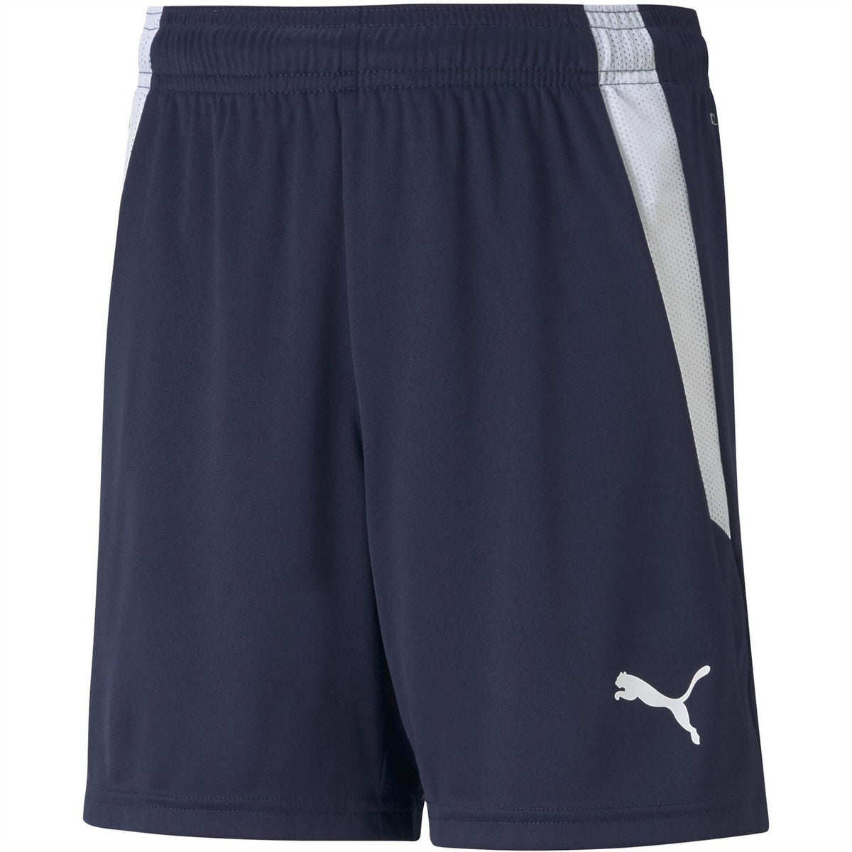 Puma Teamliga Shorts Jr Football Short Unisex Kids